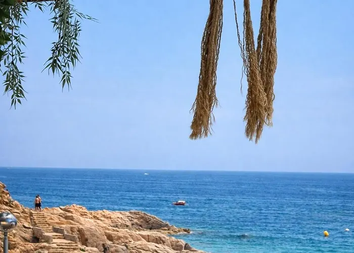 Appartement Cala Paradiso *